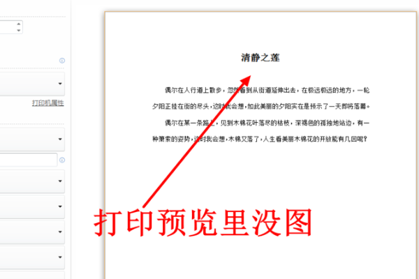 WPS表格里插入的图片打印机怎么打印不出来？