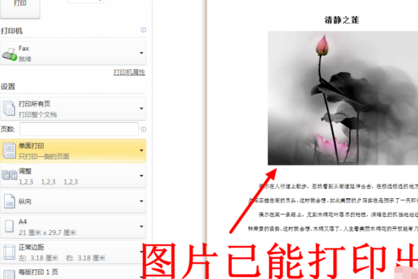 WPS表格里插入的图片打印机怎么打印不出来？