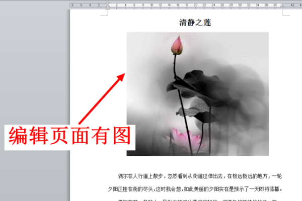 WPS表格里插入的图片打印机怎么打印不出来？