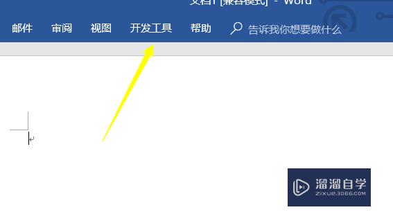 Word怎么使用开发工具？