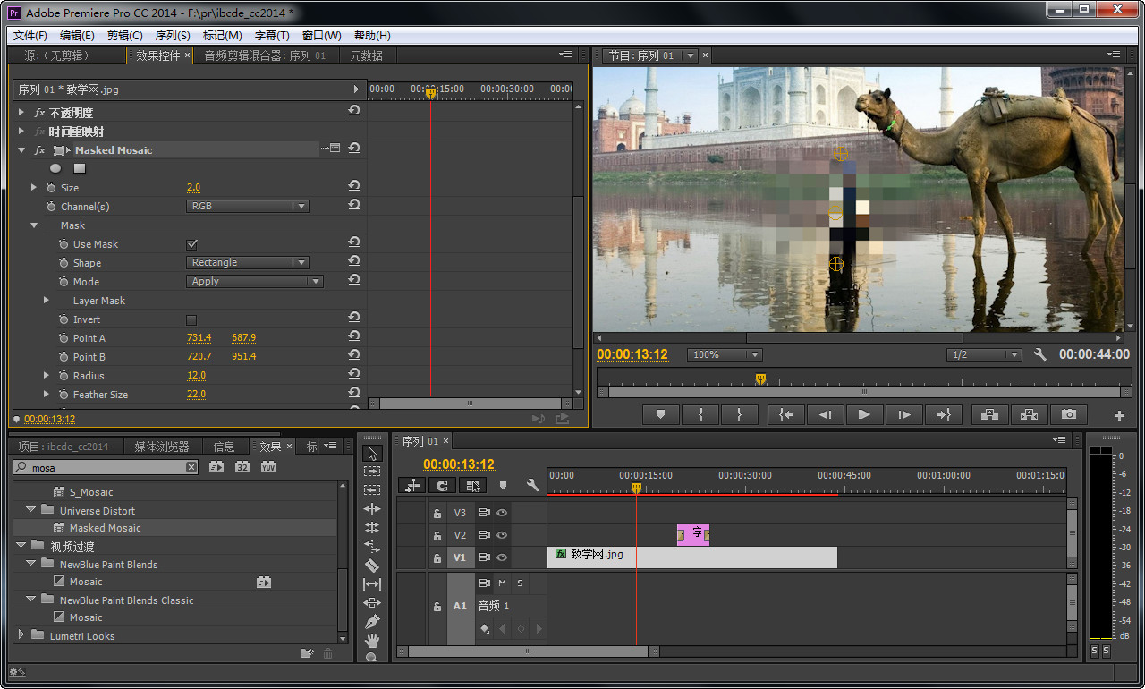 怎么用pr做跟踪马赛克