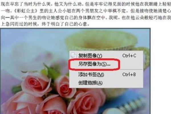 怎么将PDF文件里的图片一张张的分开导出？