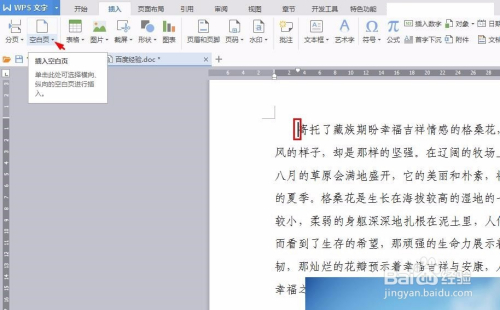 WPS文档怎么加空白页？