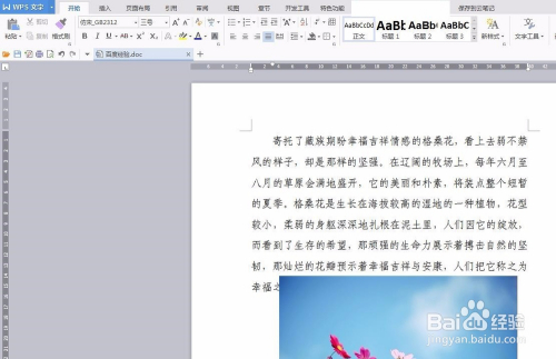 WPS文档怎么加空白页？