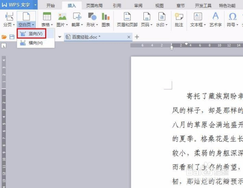 WPS文档怎么加空白页？