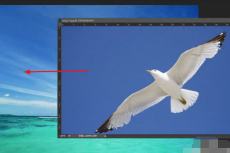 cdr内一个图片如何融入背景