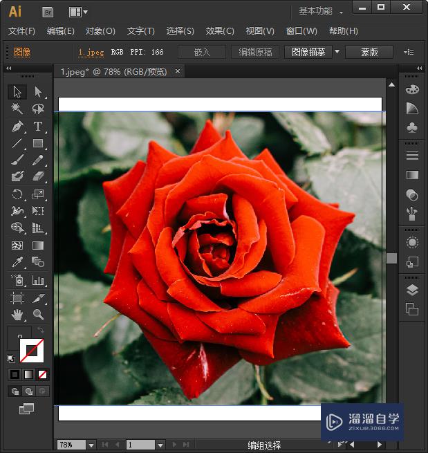 AI怎么<esred>把</esred>图片的部分<esred>抠出</esred><esred>来</esred>？
