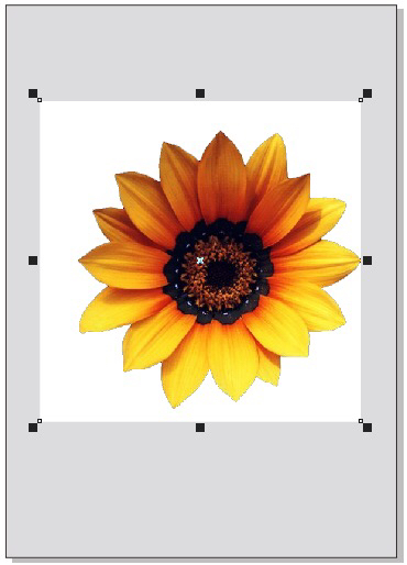 cdr4怎么去除图片背景白色?