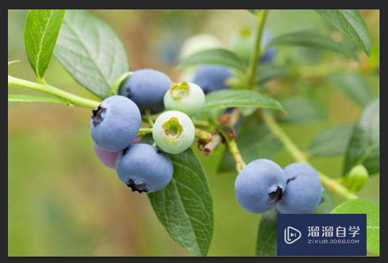 <esred>PS</esred>中怎么在<esred>图片</esred><esred>上</esred><esred>打字</esred>？