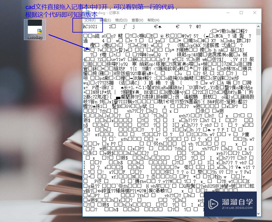 查看CAD文件（DWg格式）文件版本