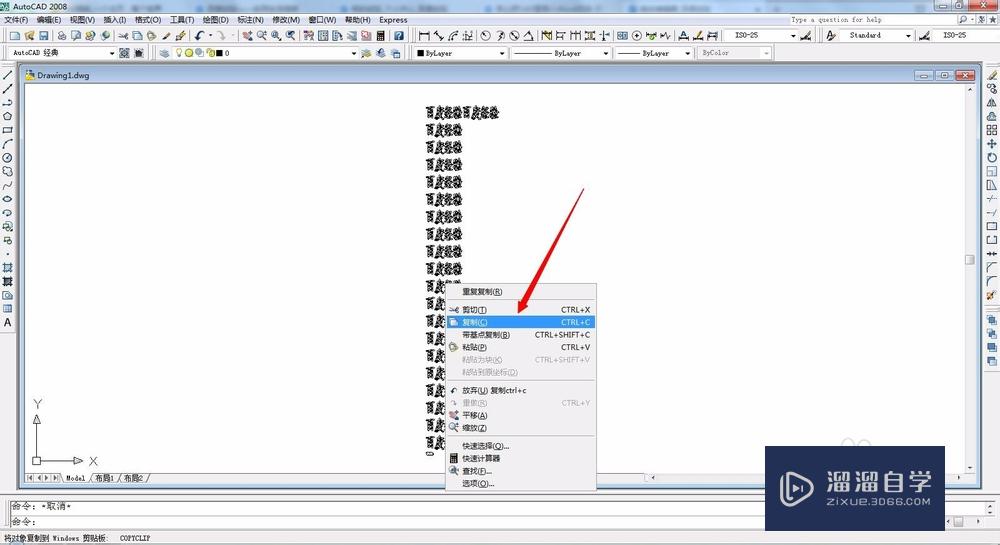 CAD 如何复制多行文字到Word？