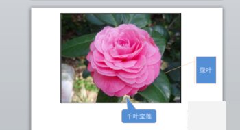 如何在PPT照片中加入标记符号？