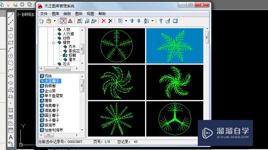 如何在CAD中利用天正插入自带植物图例？
