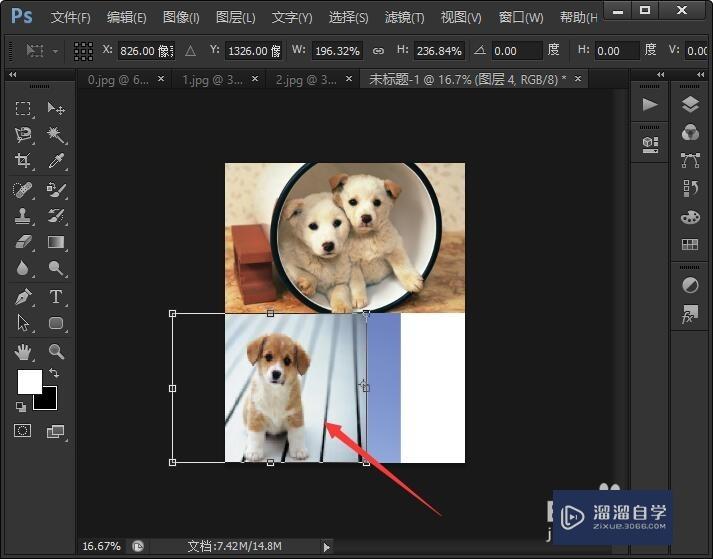 如何用Photoshop拼接图片？