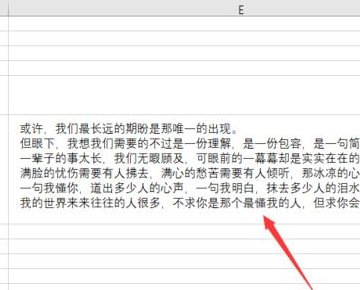 Excel表格中的段落怎么调整？