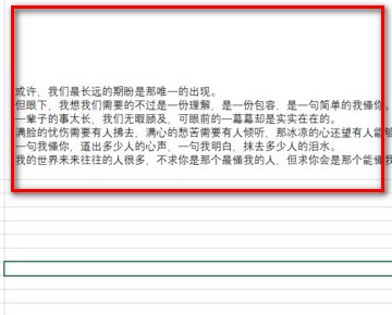 Excel表格中的段落怎么调整？