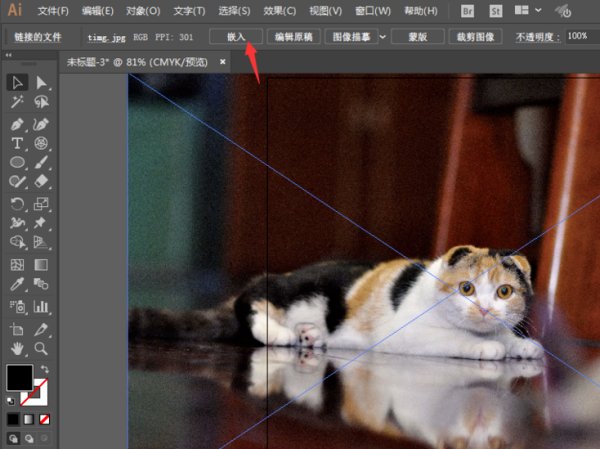 AI的嵌入在什么位置？
