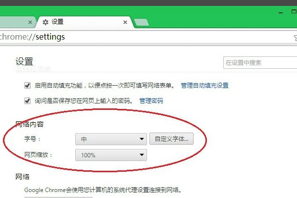 chrome浏览器打开PDF字体怎么调整？