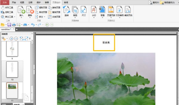 怎么在PDF文件中添加页眉页脚？