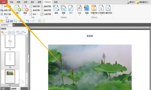 怎么在PDF文件中添加页眉页脚？