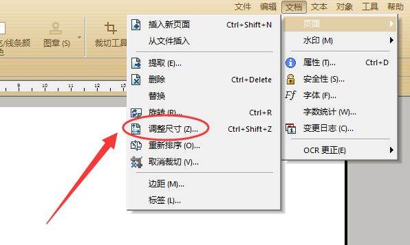 PDF如何设置页面大小？