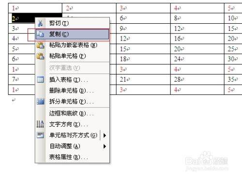 Word表格内容怎么复制？