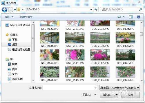 Word文档图片怎么调整？