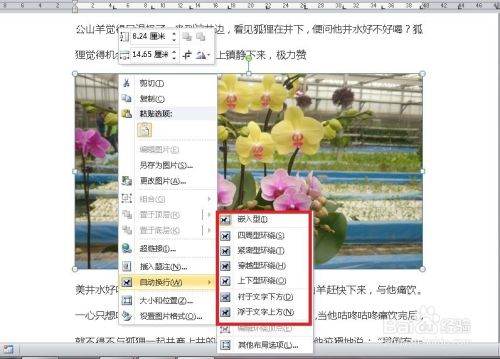 Word文档图片怎么调整？