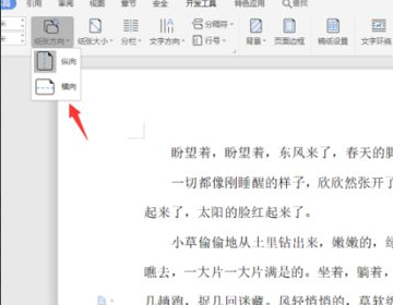 Word横向设置页面