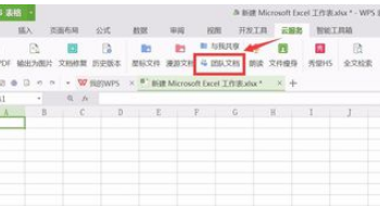 WPS表格怎么设置共享文件？