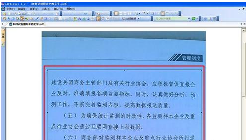 WPS怎么进行图片文字识别？