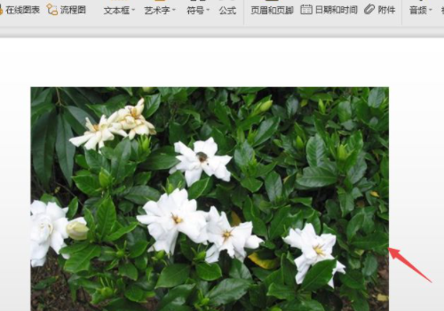 WPS PPT制作教程步骤