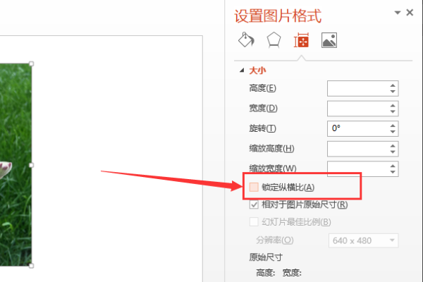 如何让PPT里两张图片一样大？