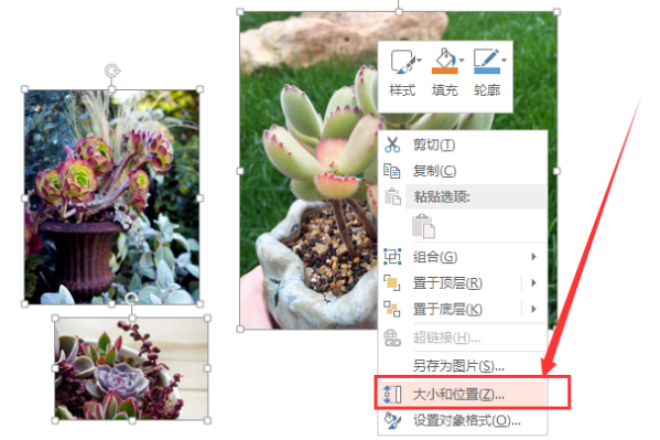 如何让PPT里两张图片一样大？