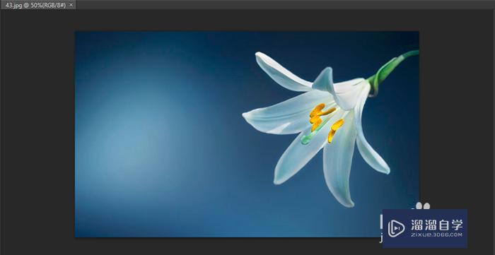 怎么<esred>用</esred><esred>PS</esred><esred>制作</esred><esred>对</esred><esred>称</esred><esred>图案</esred><esred>照片</esred>？