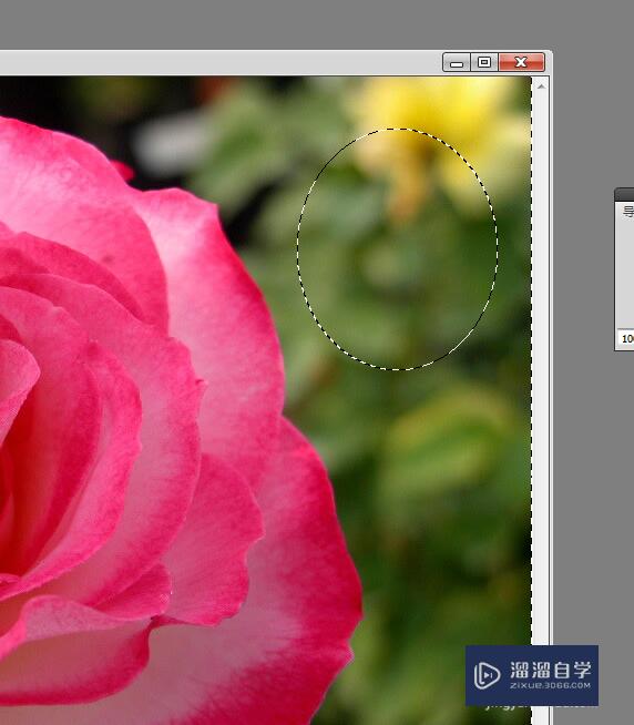 ps如何进行反向选择