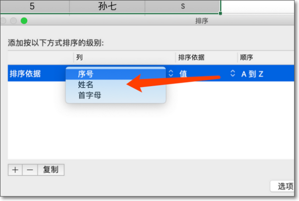 怎样给Excel表格按首字母顺序排列？