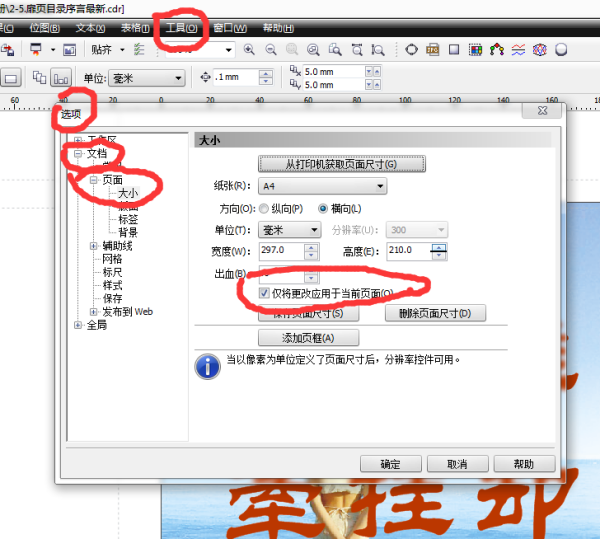 CorelDraw 如何在不同的页面切换不同的页面方向？
