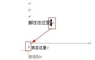 Word文档脚注怎么删除？