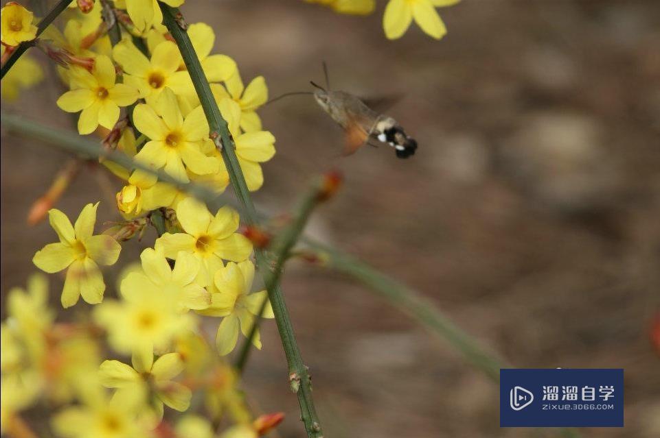 怎样用<esred>PS</esred><esred>给</esred><esred>照片</esred><esred>加</esred>边框？