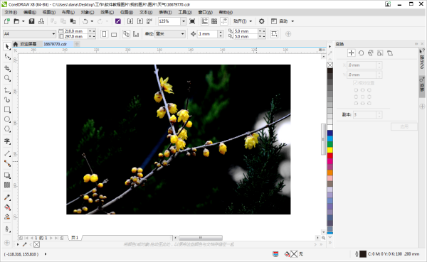 CorelDraw12怎么把新建文件分成12等份？