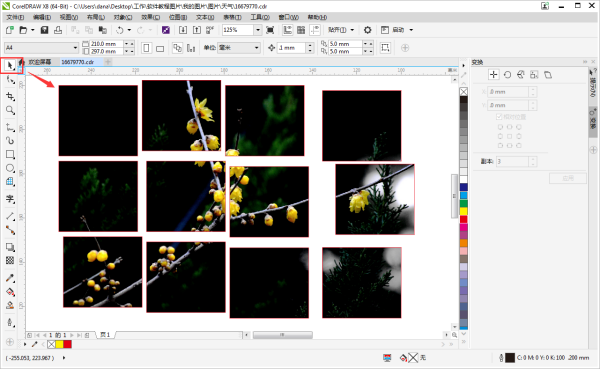 CorelDraw12怎么把新建文件分成12等份？