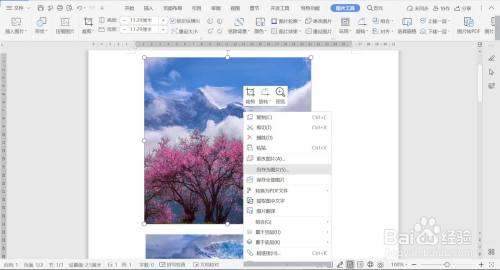 WPS怎么提取图片？