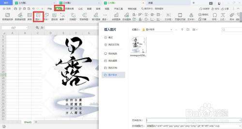 在WPS怎么在图片提取文字？