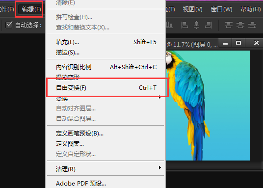 PS中为什么用不了ctrl+t？