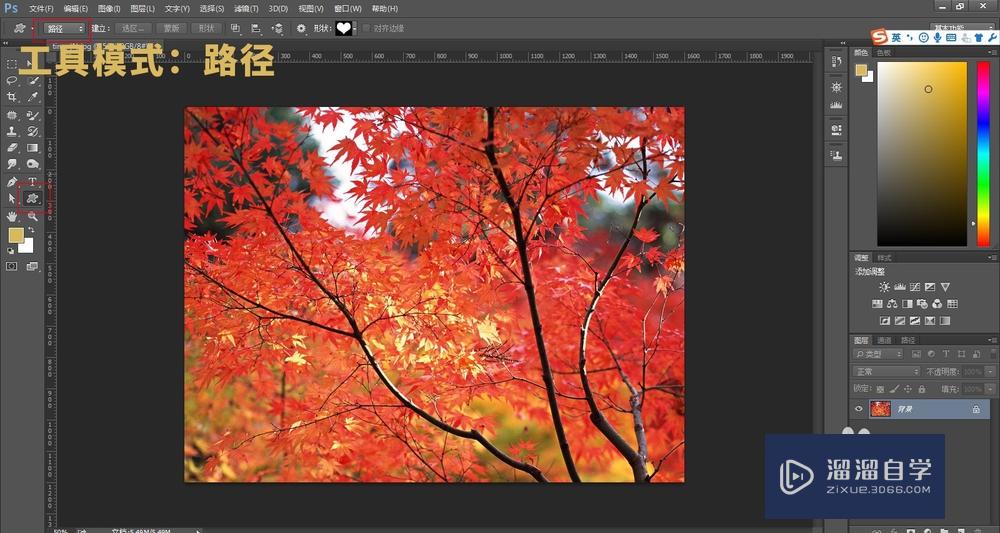 <esred>PS</esred><esred>路径</esred>有<esred>什么用</esred>？