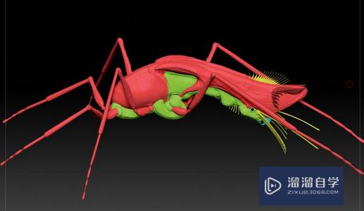 ZBrush结合Maya设计和建模生物全过程（下）