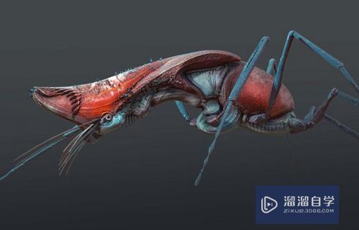 ZBrush结合Maya设计和建模生物全过程（下）