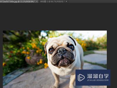 PS怎么<esred>设置</esred><esred>出血</esred>？