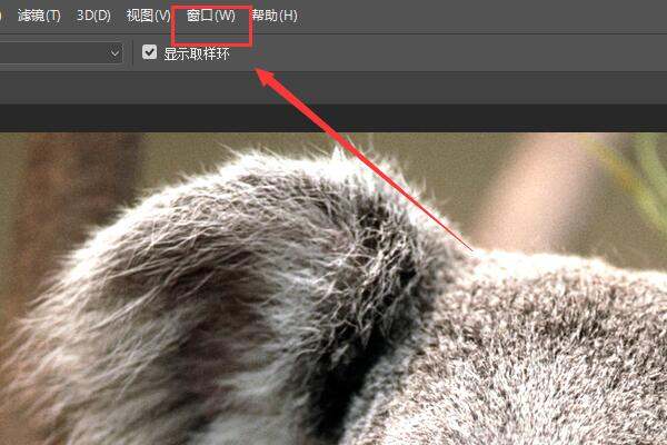 为什么PS工具填充的颜色总是灰色？